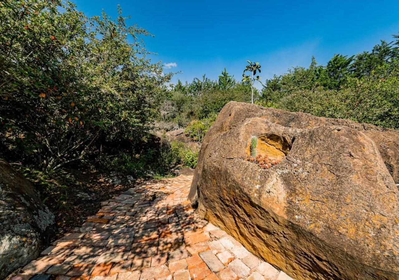 El Hayuelo Ecolodge Villa de Leyva Dış mekan fotoğraf